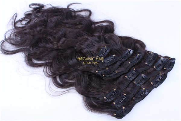 where can i buy human hair clip in extensions